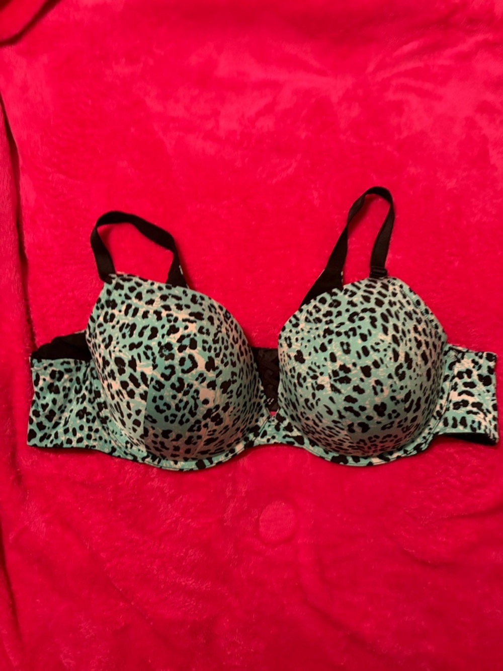 torrid Teal Leopard Print Push-Up Bra with Black Straps